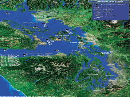 Orca Network's Sighting Network Map