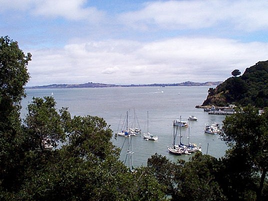 P000197.jpg (71755 bytes)