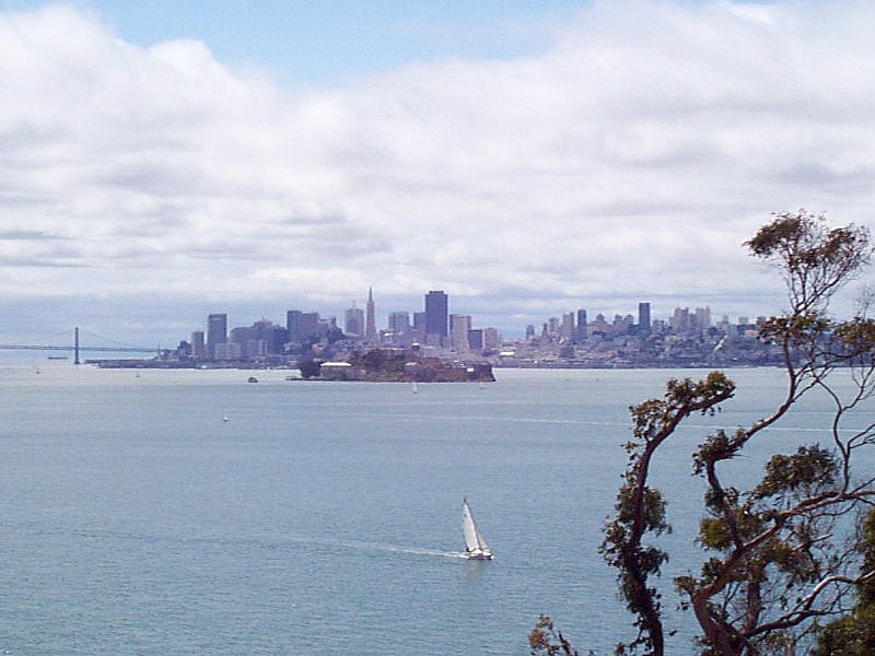 P000209.jpg (97168 bytes)