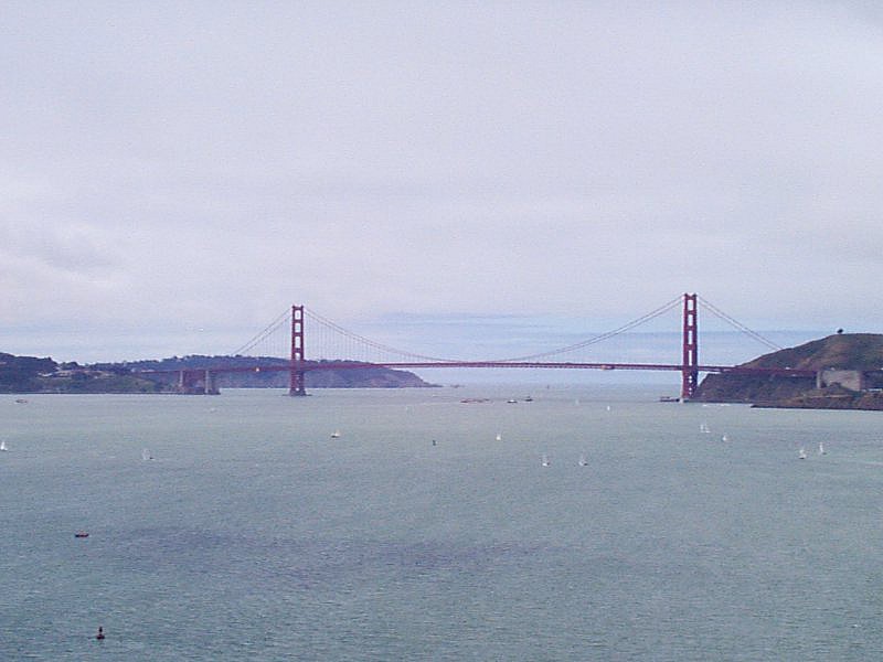 P000214.jpg (73237 bytes)