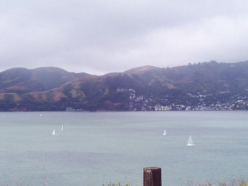 P000217.jpg (72262 bytes)