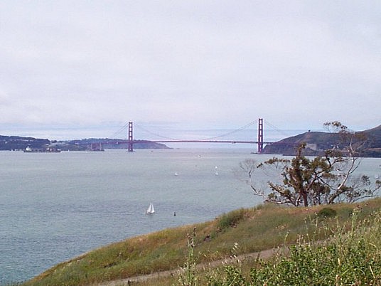 P000229.jpg (51717 bytes)