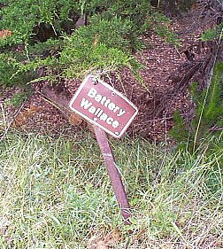 P000231.jpg (53413 bytes)