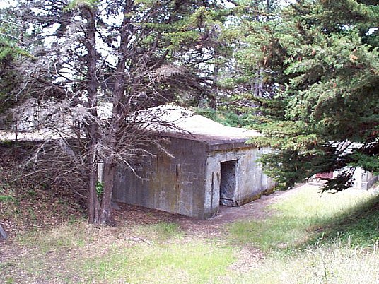 P000232.jpg (122897 bytes)
