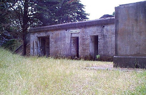 P000236.jpg (73621 bytes)