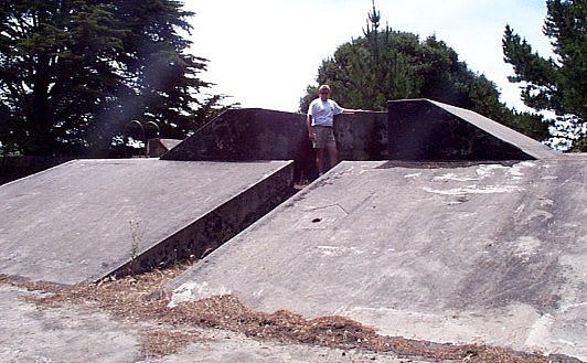 P000240.jpg (72724 bytes)