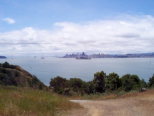 P000241.jpg (57825 bytes)