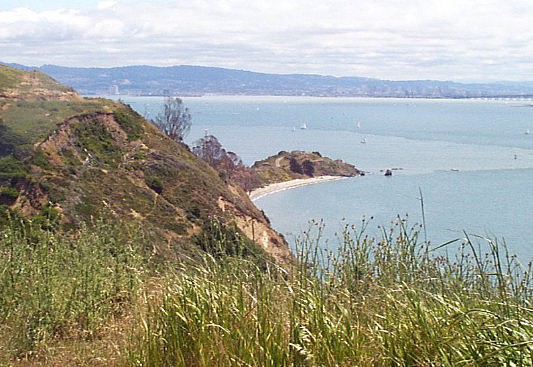 P000248.jpg (77480 bytes)
