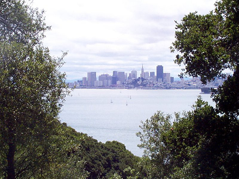 P000249.jpg (157965 bytes)